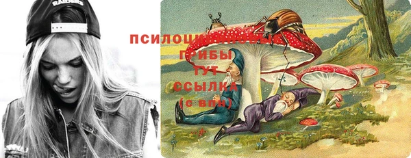 синтетический гашиш Алексин