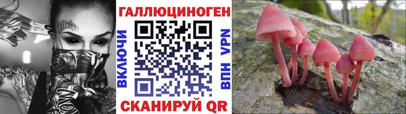 Псилоцибиновые грибы Psilocybe  Аткарск 